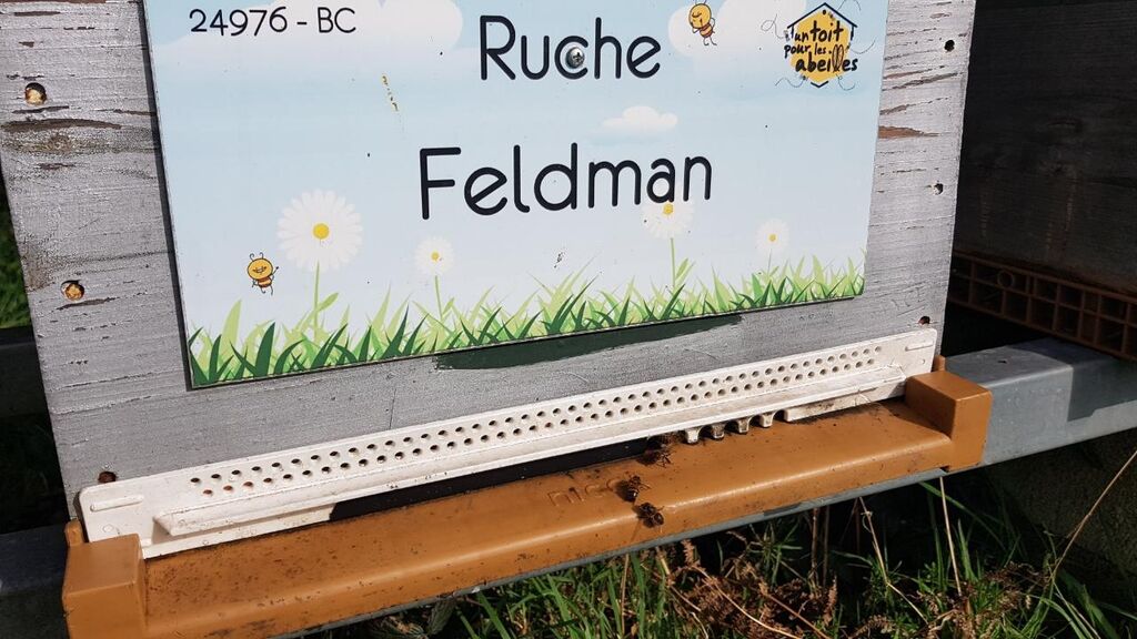 La ruche Feldman