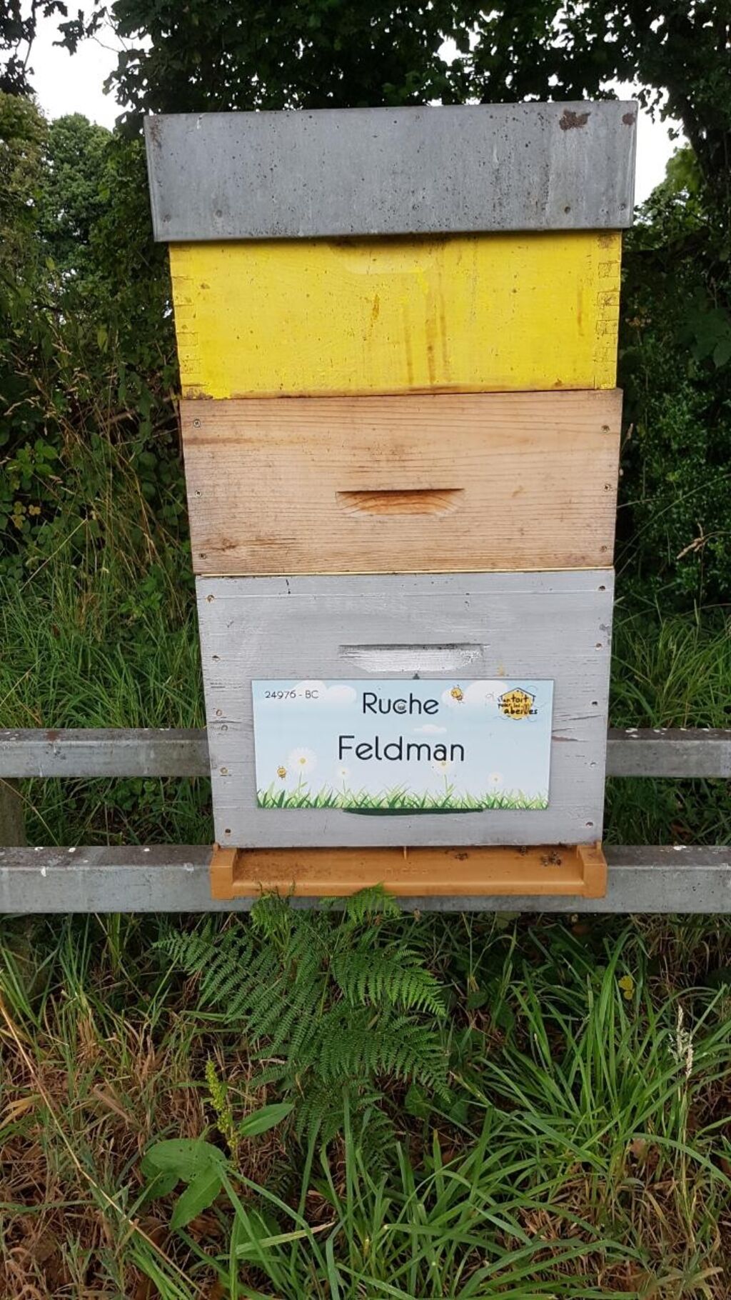 La ruche Feldman