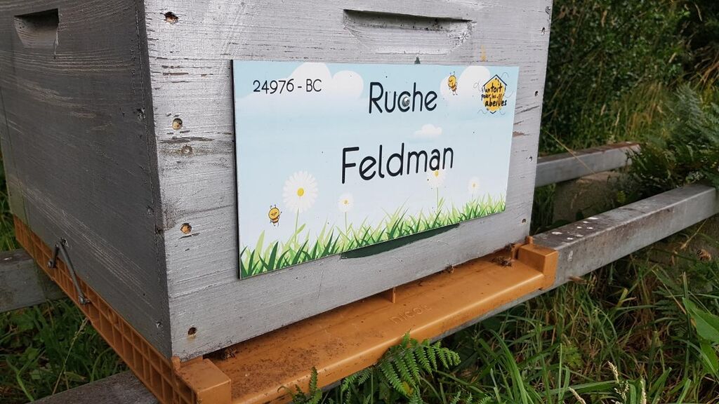La ruche Feldman