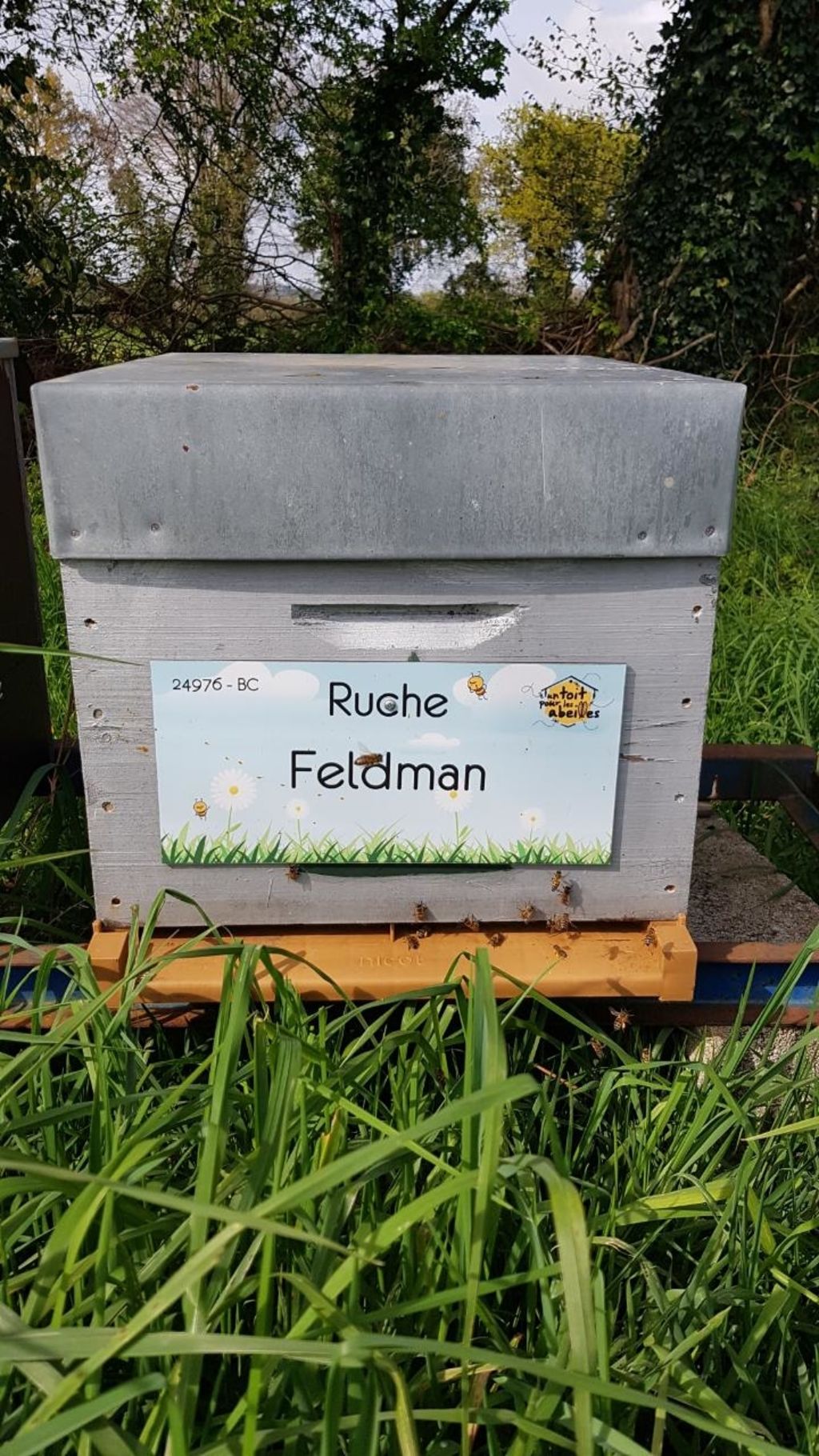 La ruche Feldman
