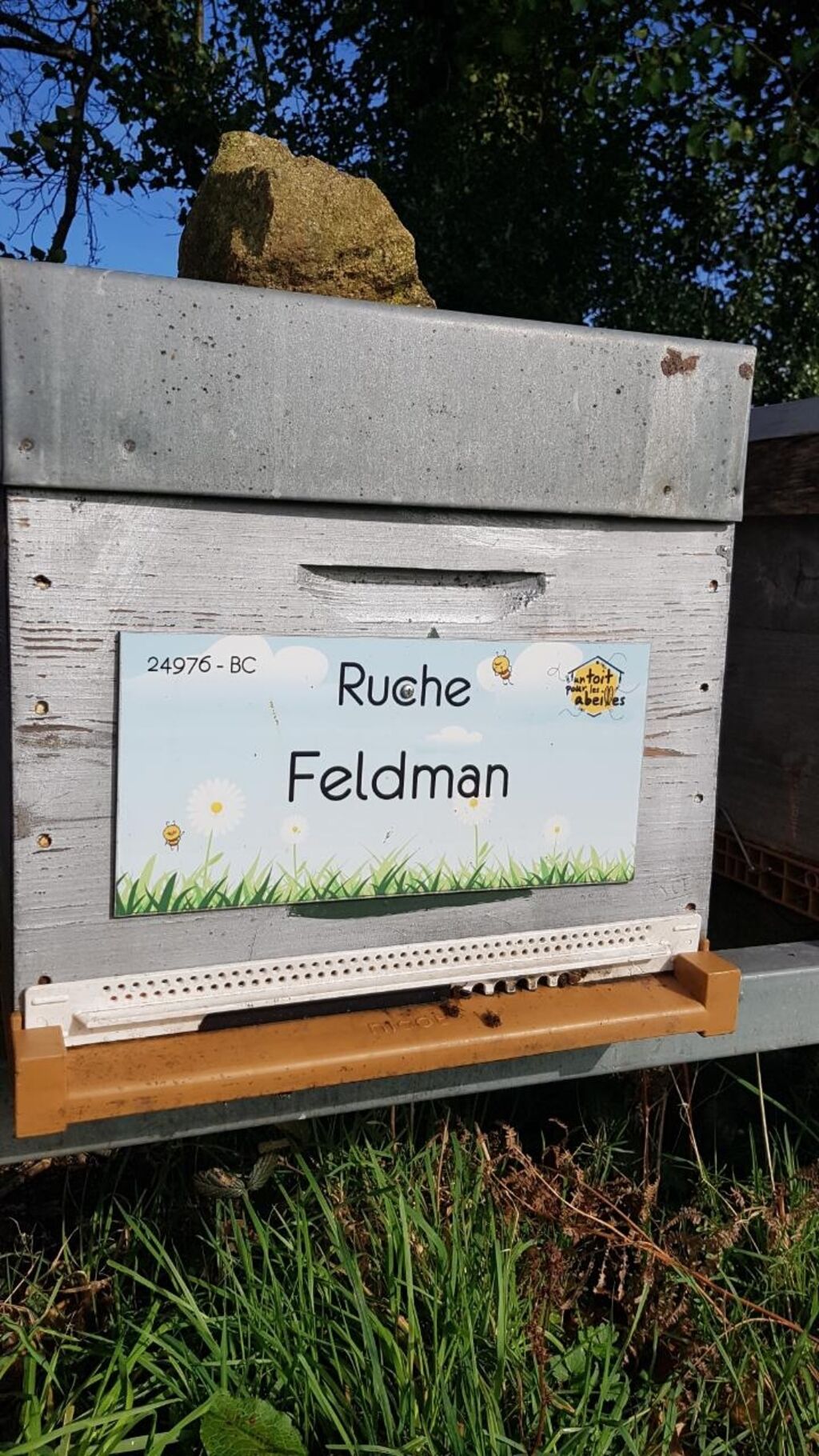La ruche Feldman