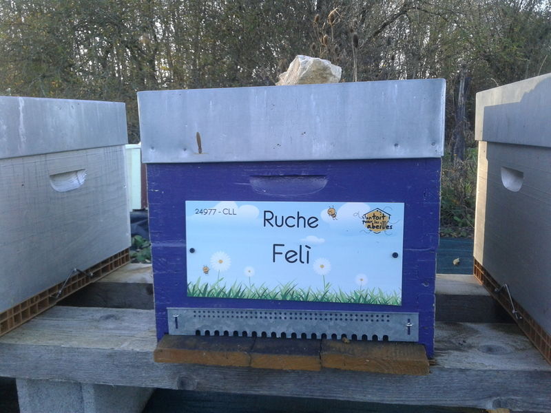 La ruche Felì