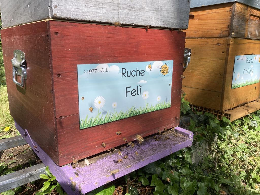La ruche Felì