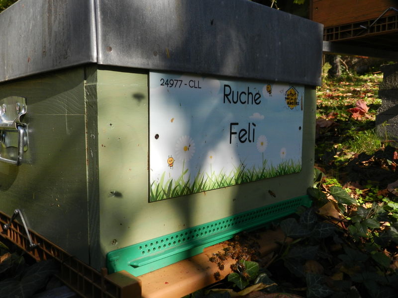 La ruche Felì