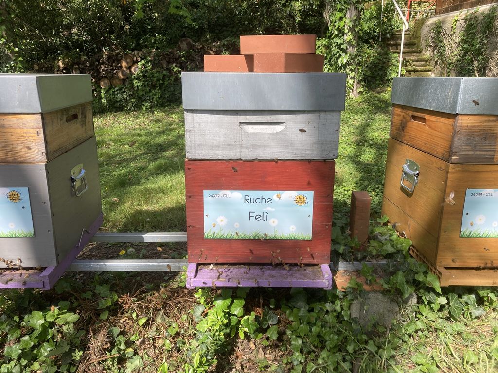La ruche Felì