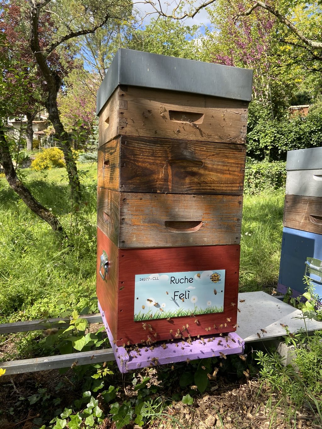 La ruche Felì