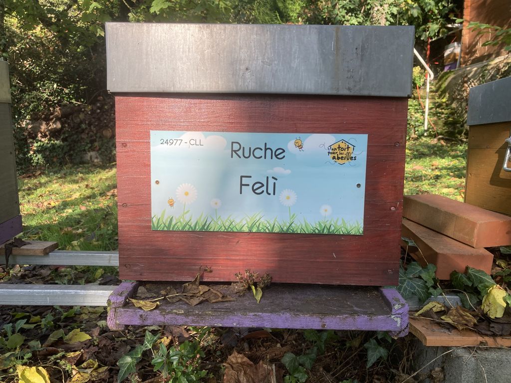 La ruche Felì