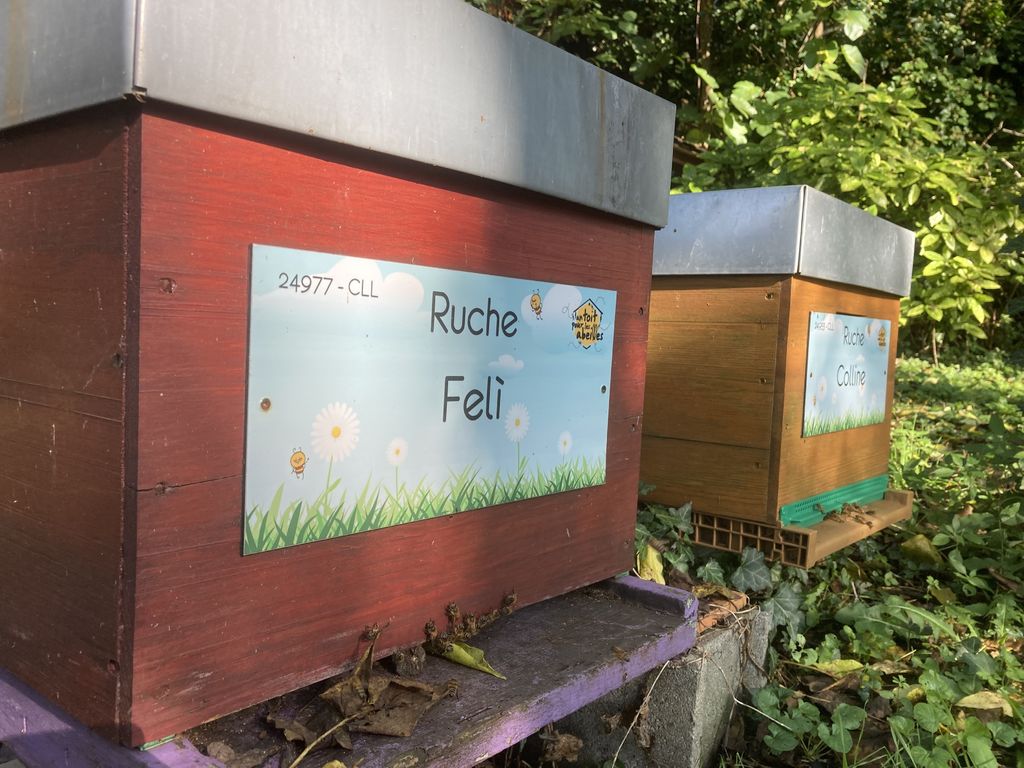 La ruche Felì