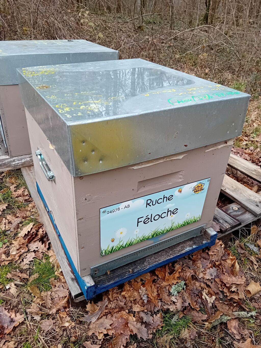 La ruche Féloche