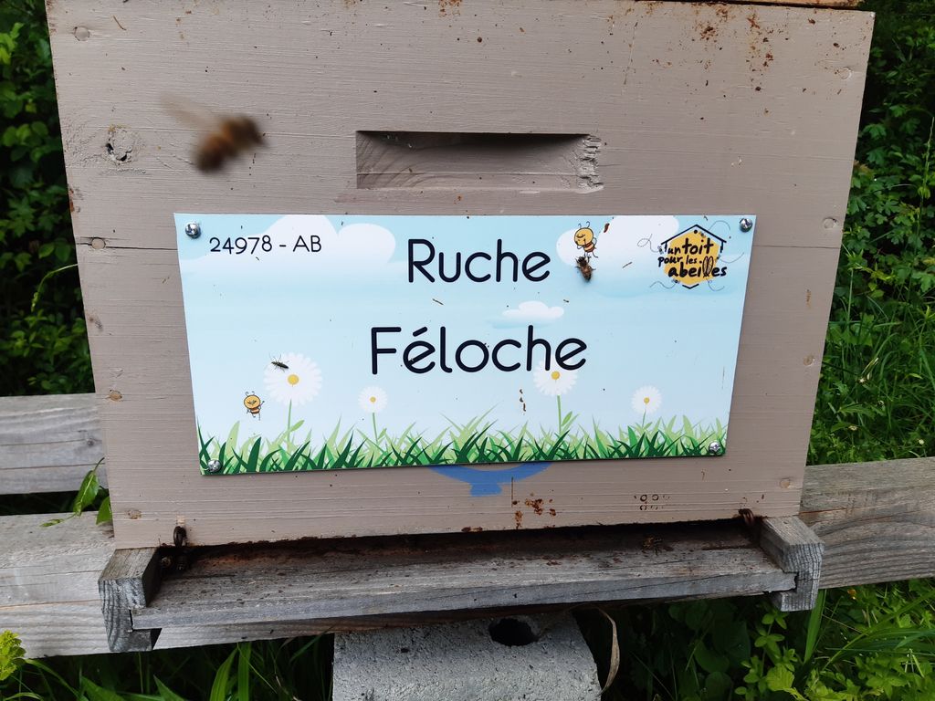 La ruche