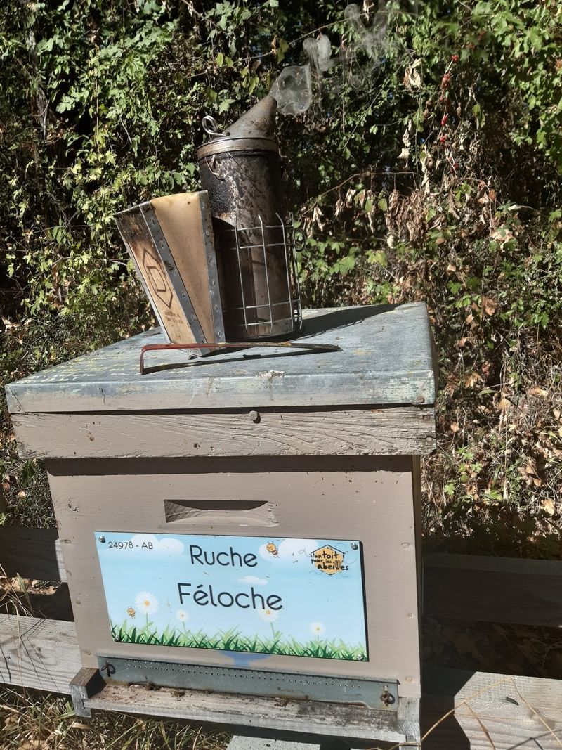 La ruche Féloche