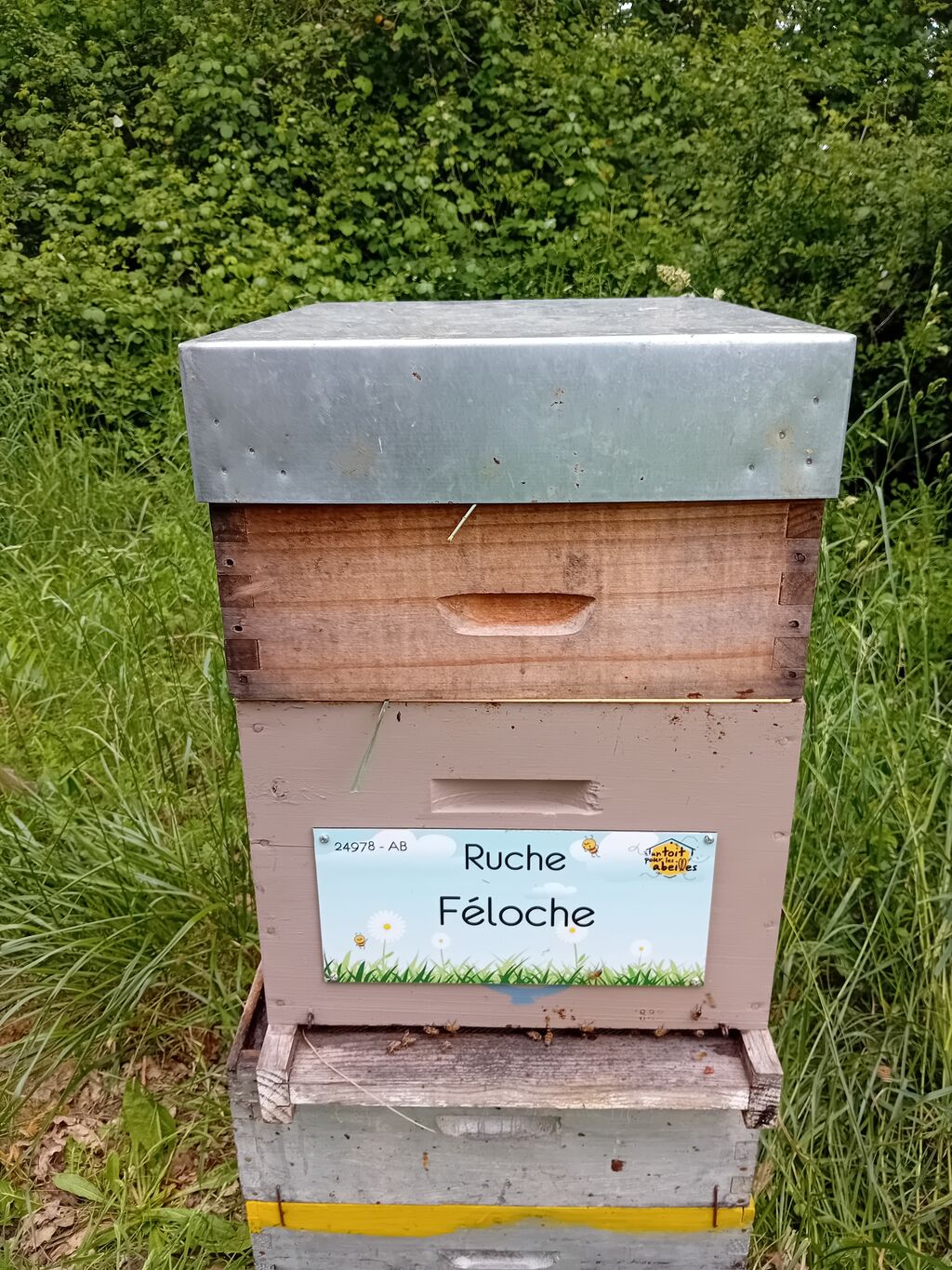 La ruche Féloche