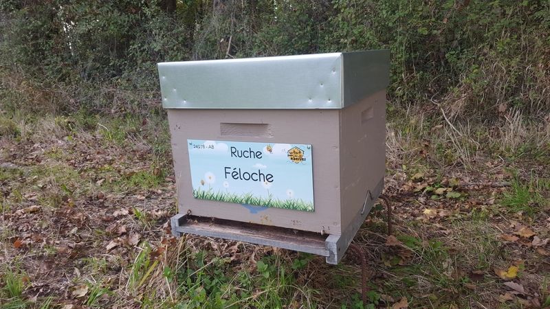 La ruche Féloche