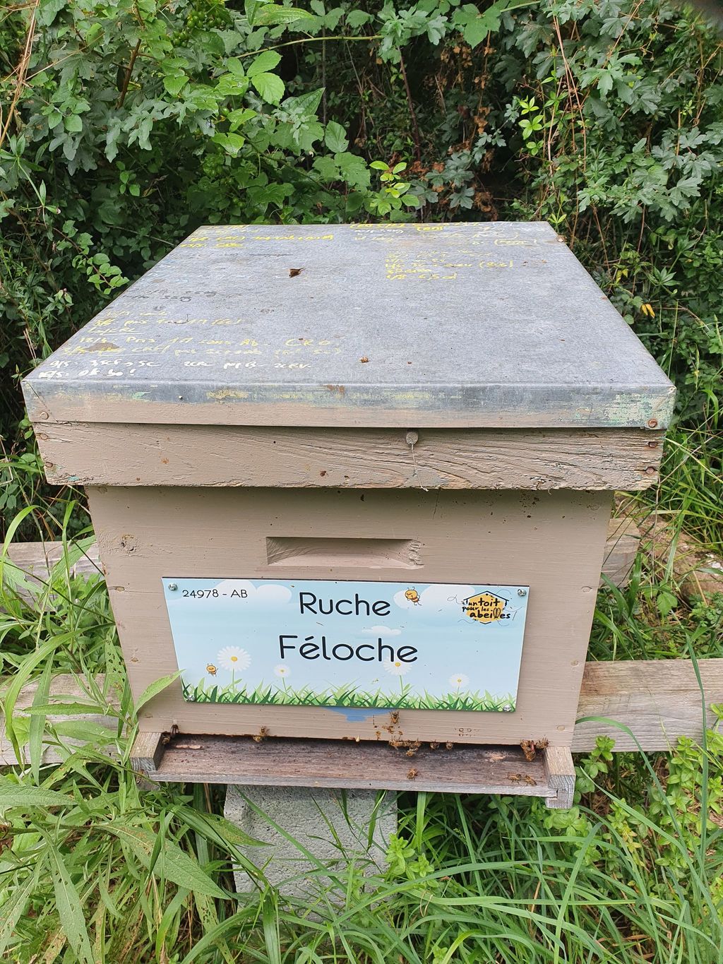 La ruche Féloche