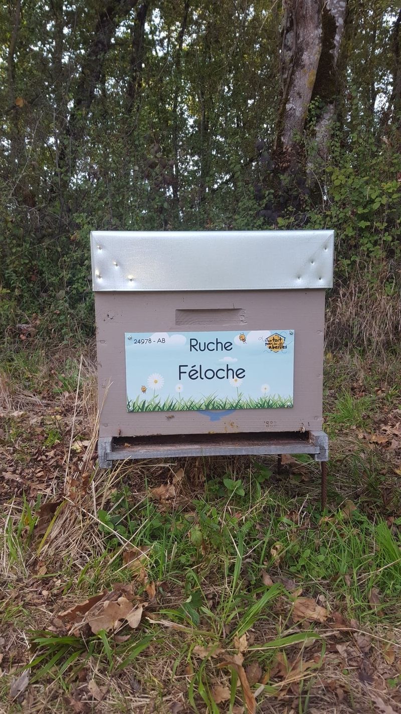 La ruche Féloche