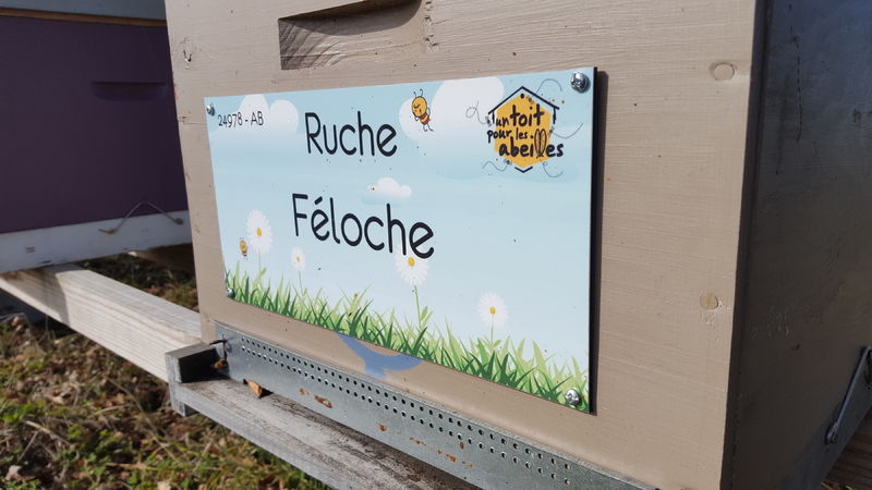 La ruche Féloche