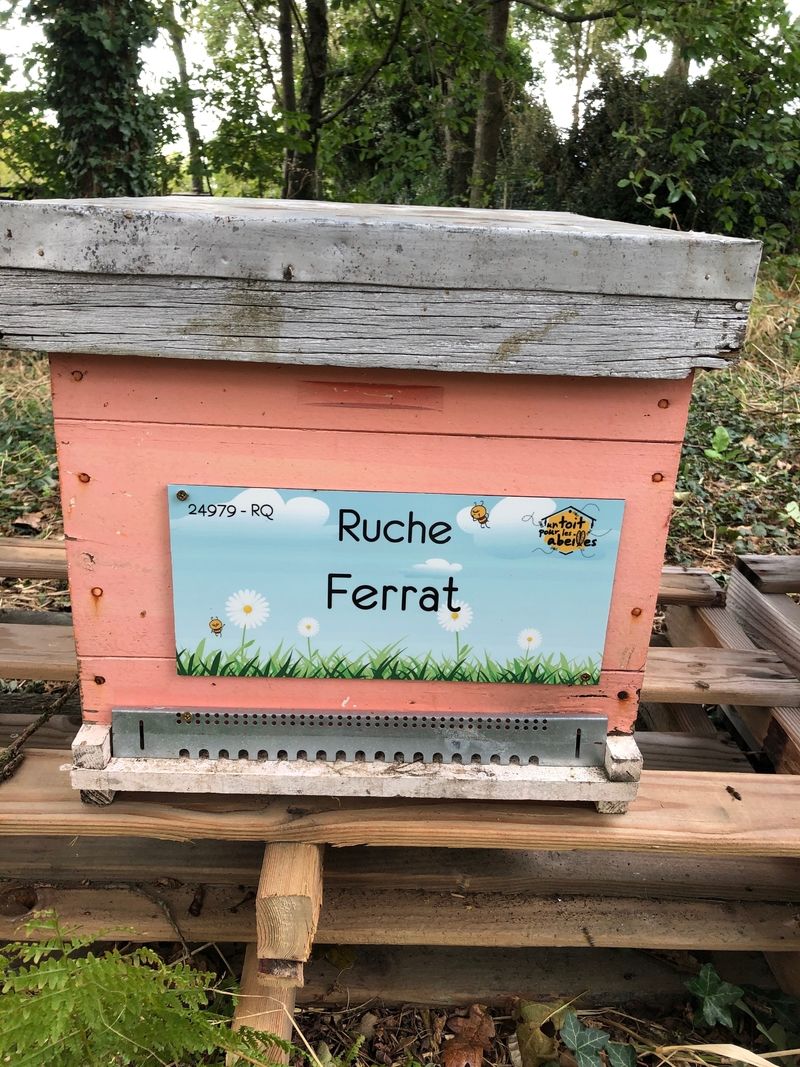 La ruche Ferrat