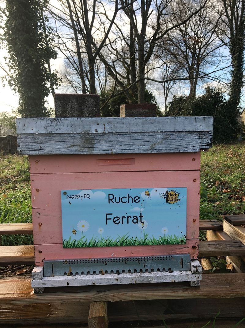 La ruche
