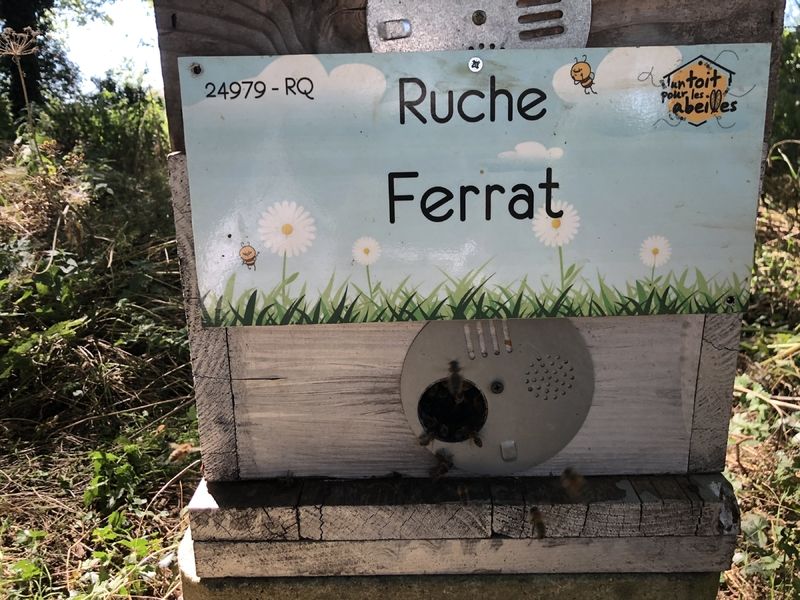 La ruche Ferrat