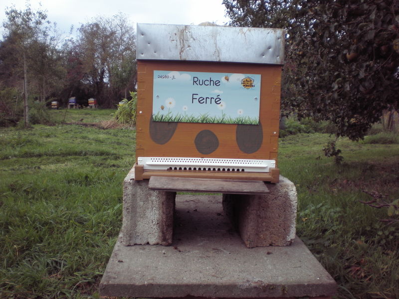 La ruche Ferré