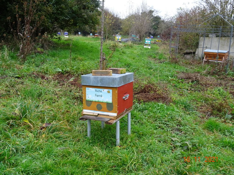 La ruche Ferré