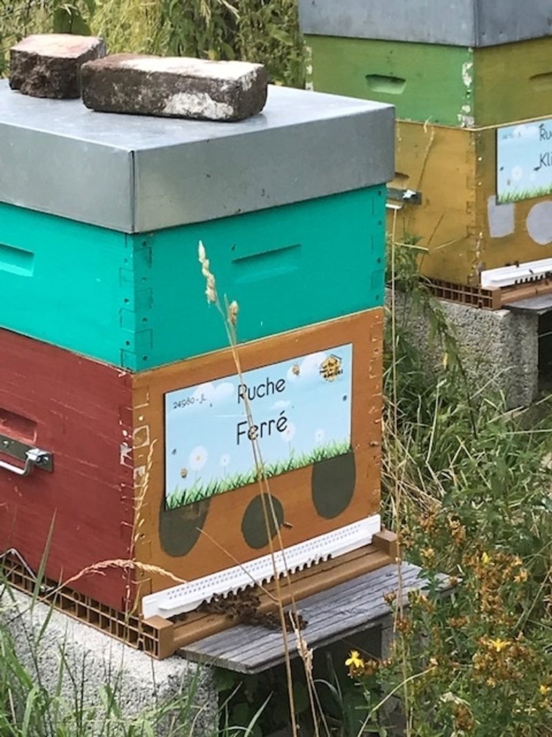 La ruche Ferré
