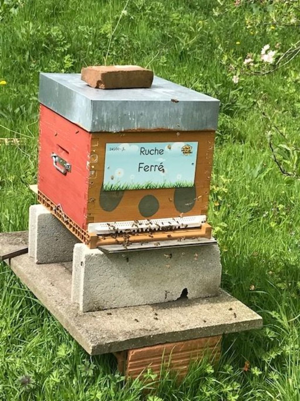 La ruche Ferré