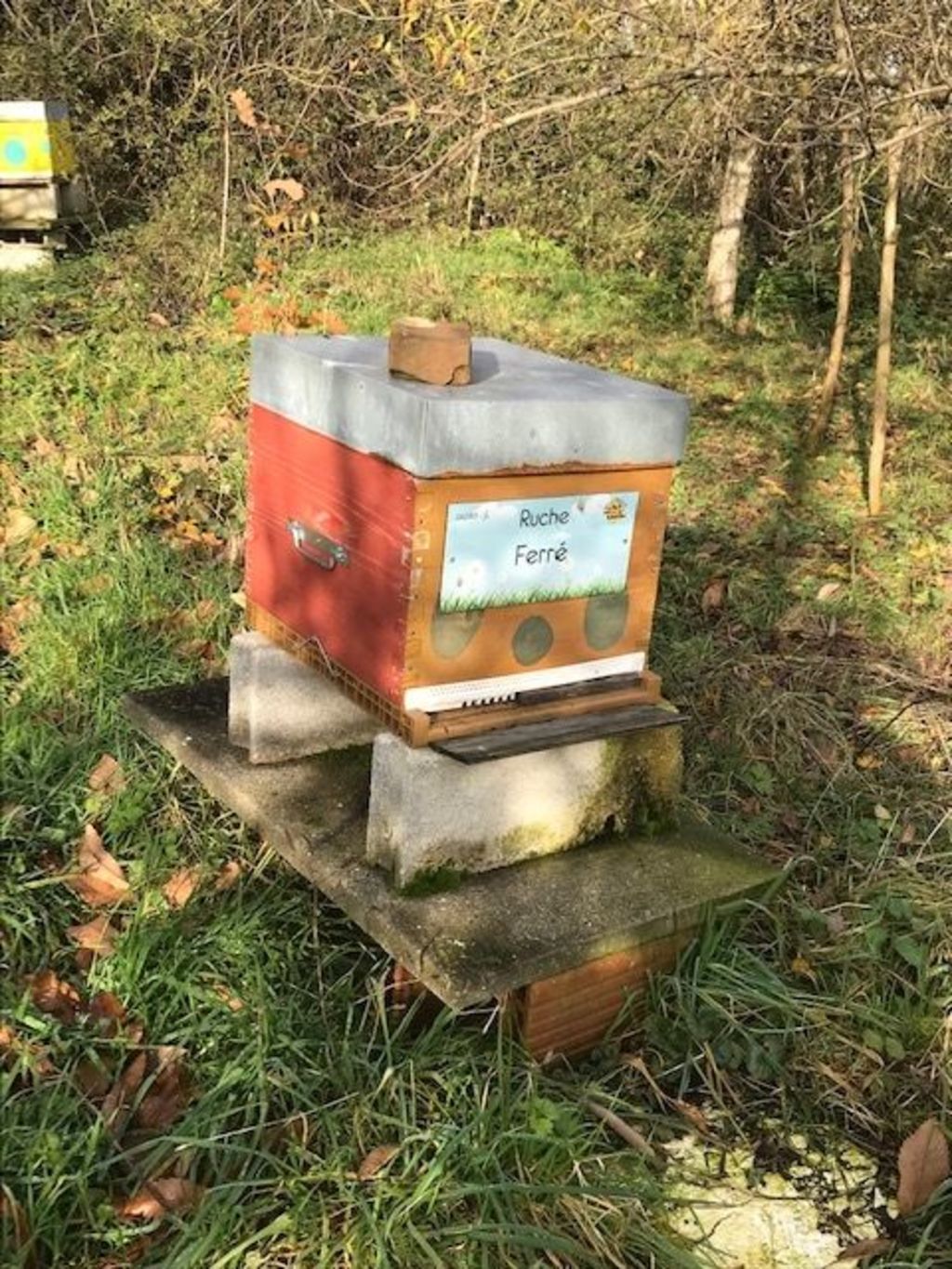 La ruche Ferré