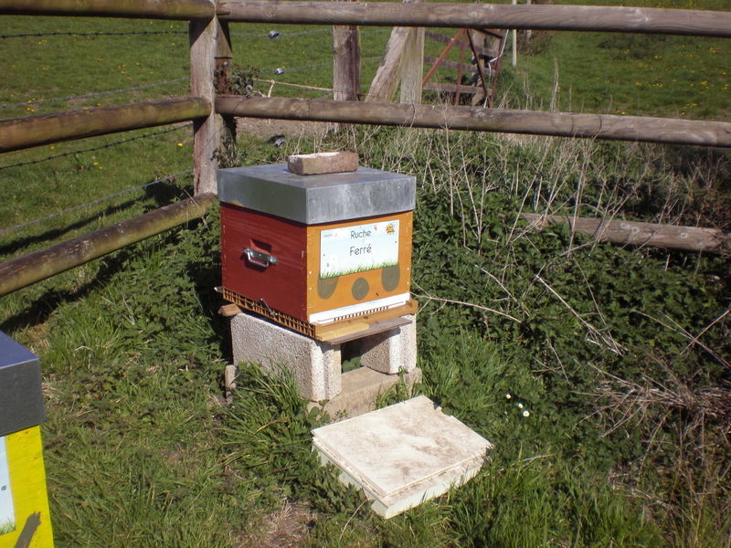 La ruche Ferré