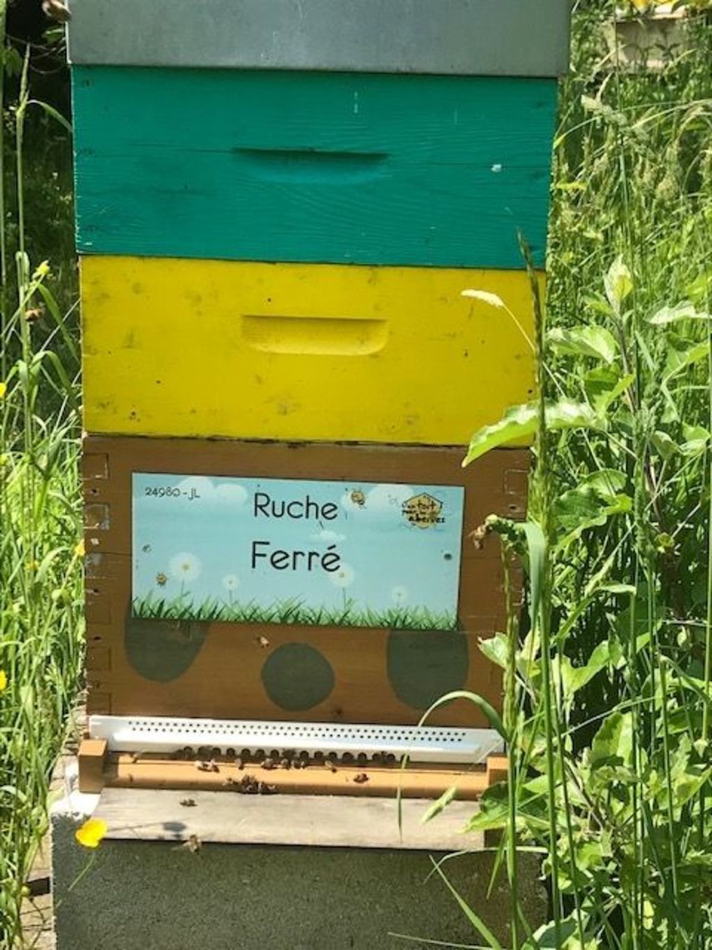 La ruche Ferré