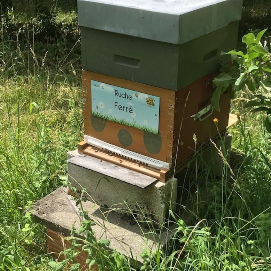La ruche Ferré