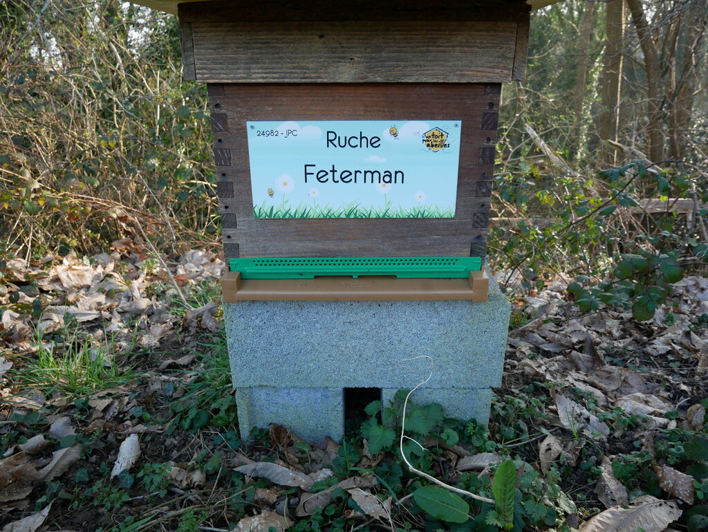 La ruche Feterman