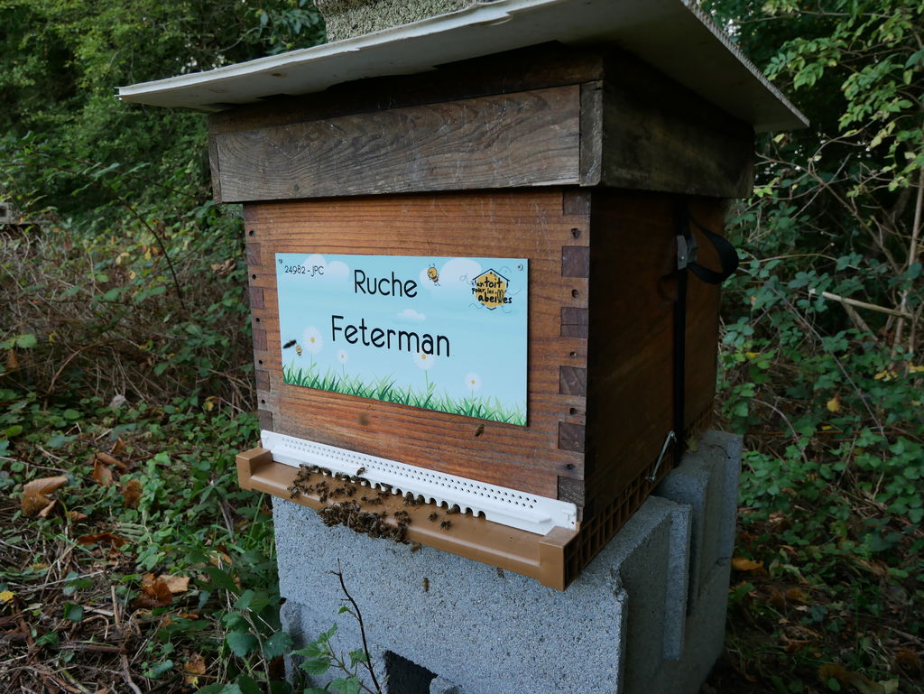 La ruche Feterman