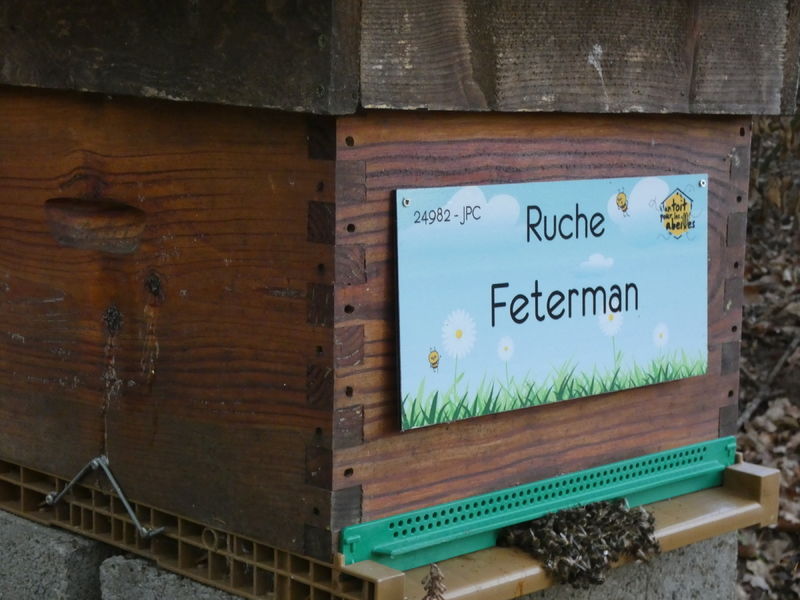 La ruche Feterman