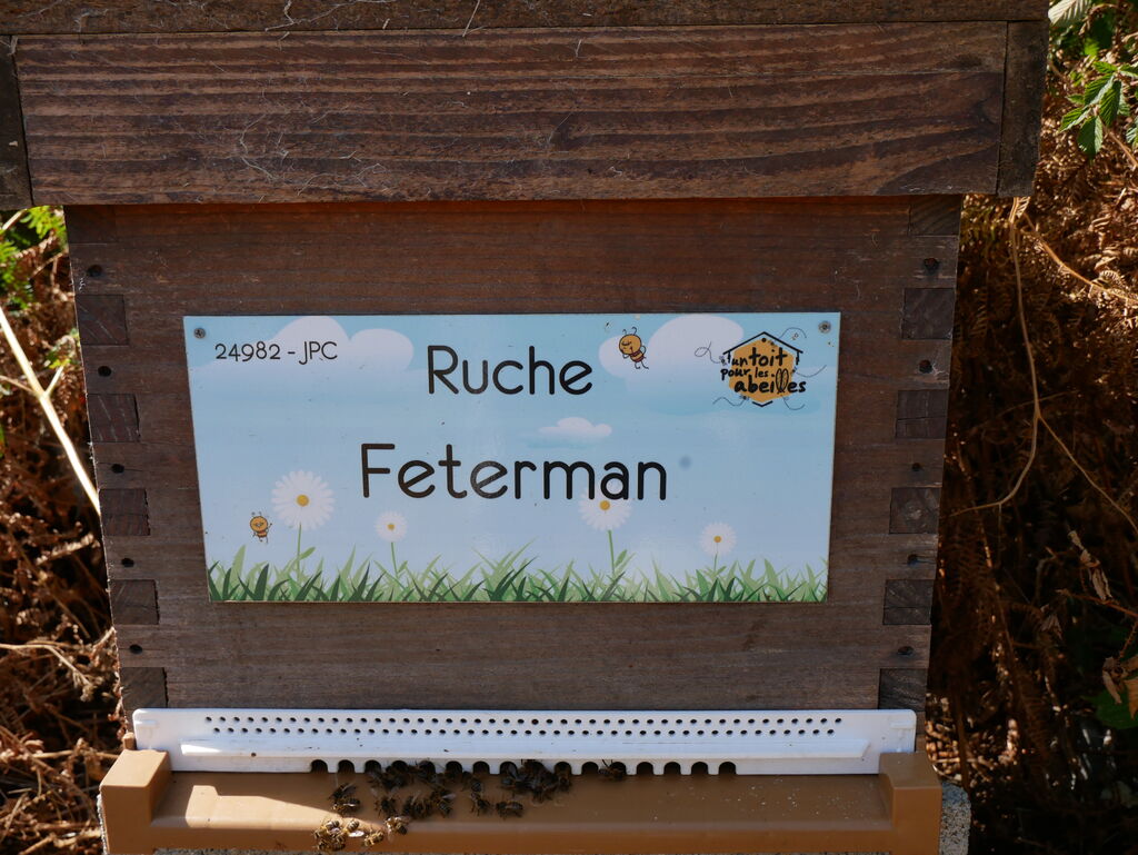 La ruche Feterman