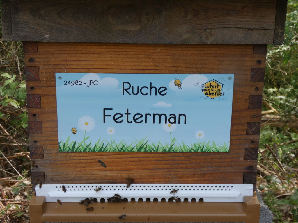 La ruche Feterman