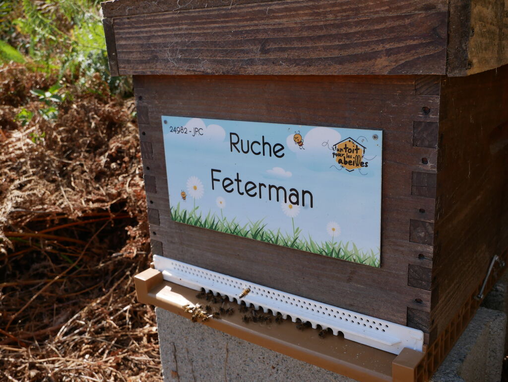 La ruche Feterman