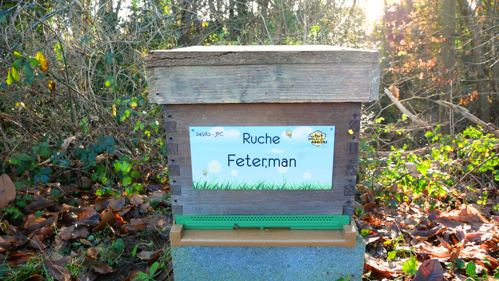 La ruche Feterman