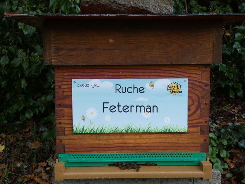 La ruche Feterman
