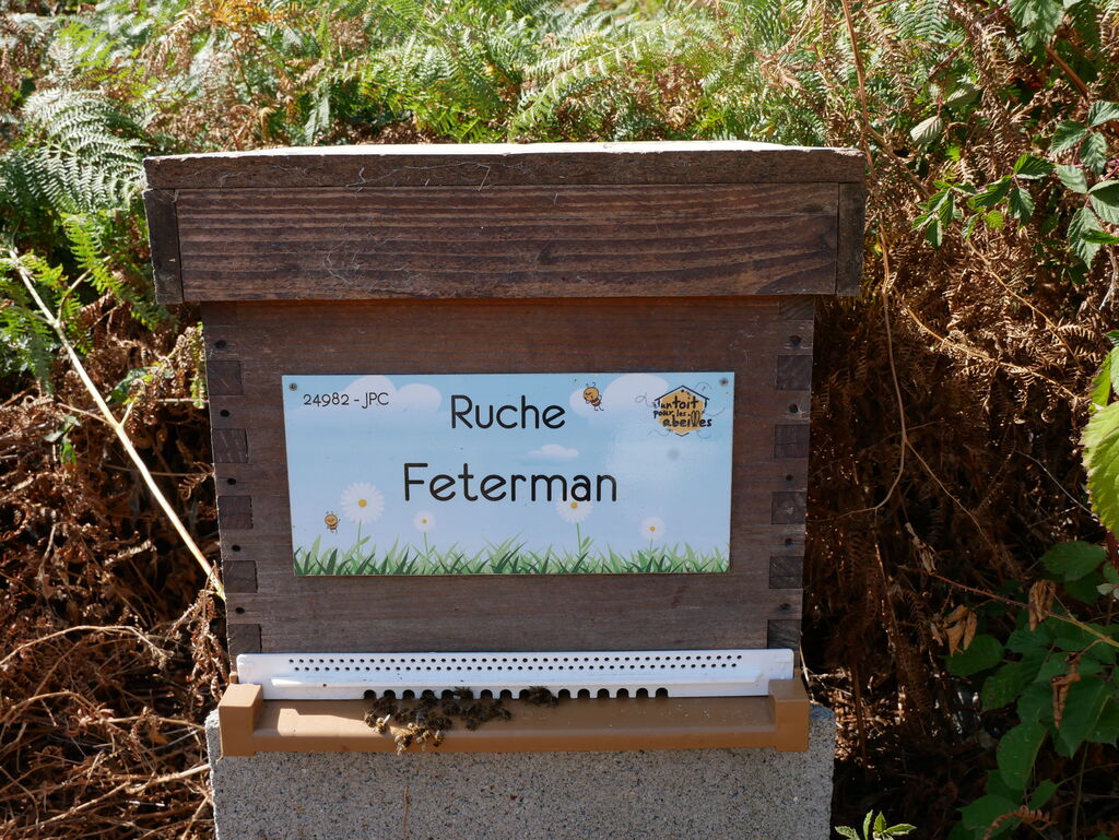 La ruche Feterman
