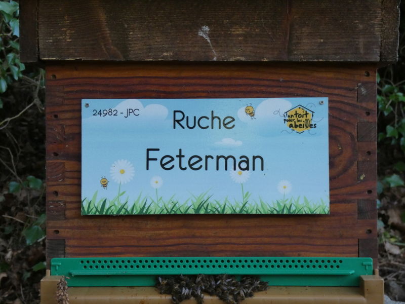 La ruche Feterman