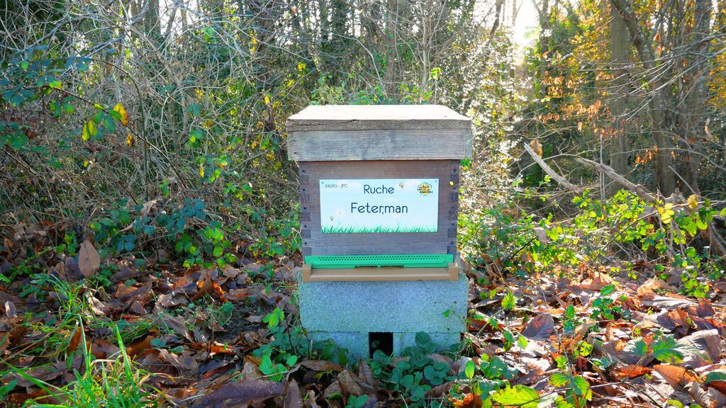 La ruche Feterman