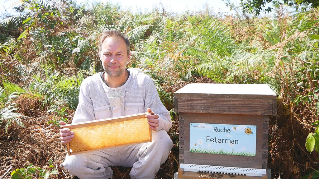 La ruche Feterman