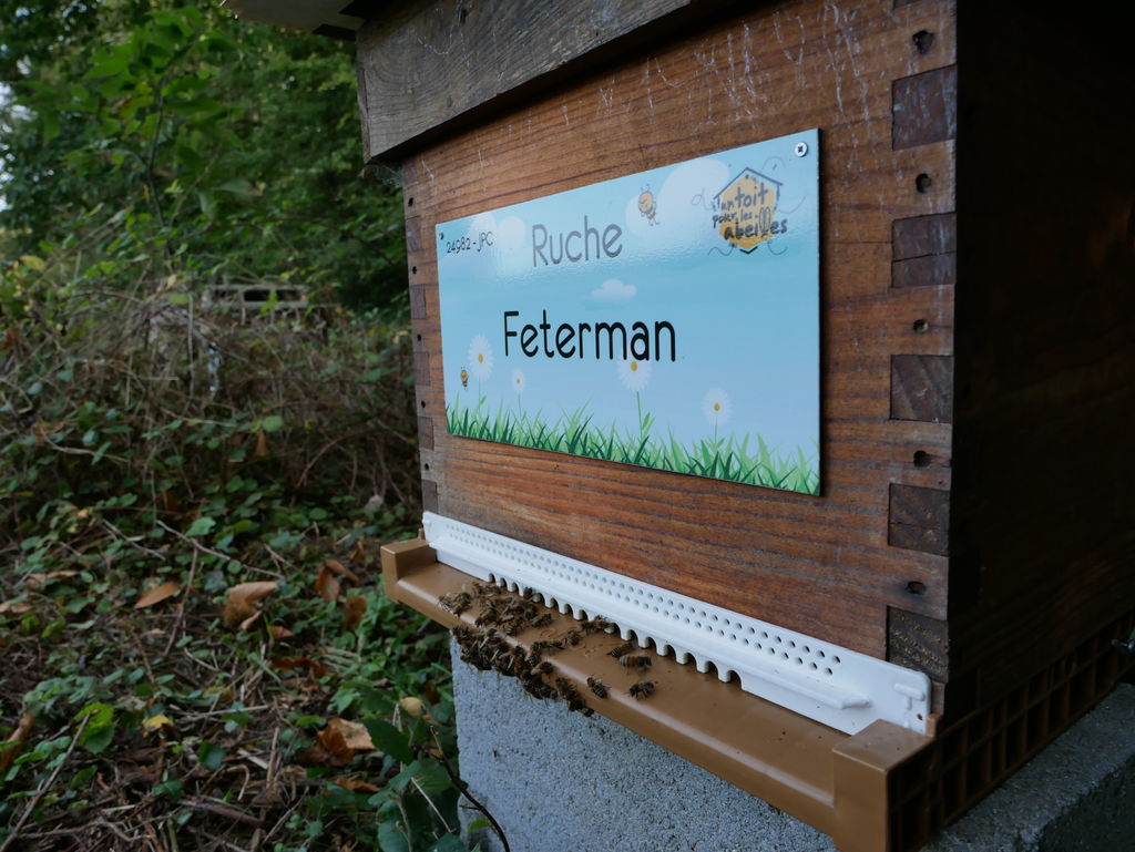 La ruche Feterman