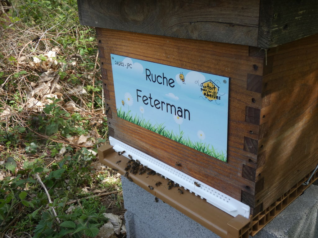 La ruche Feterman