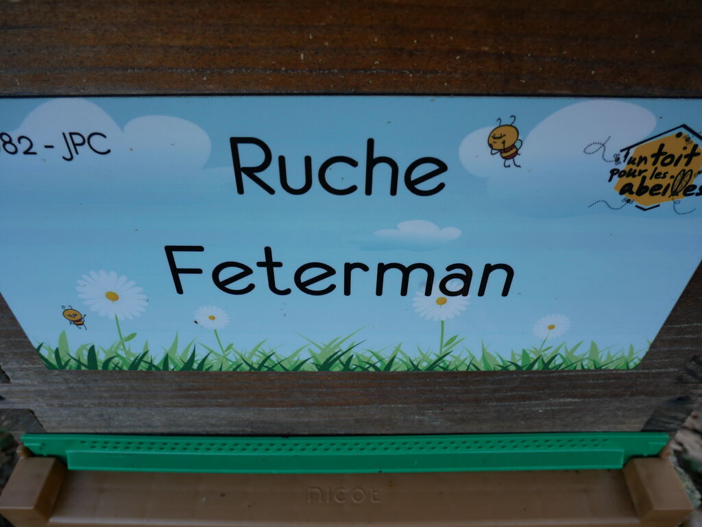 La ruche Feterman