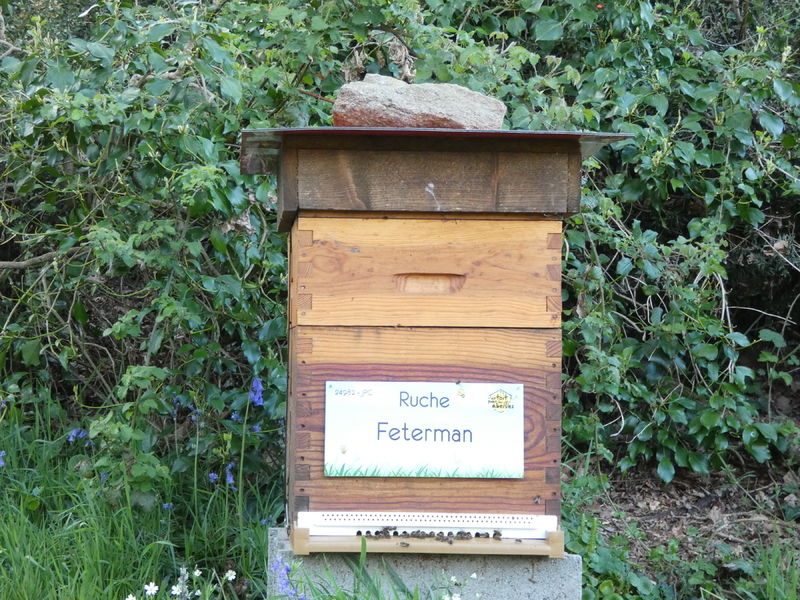 La ruche Feterman