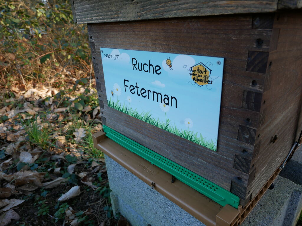 La ruche Feterman