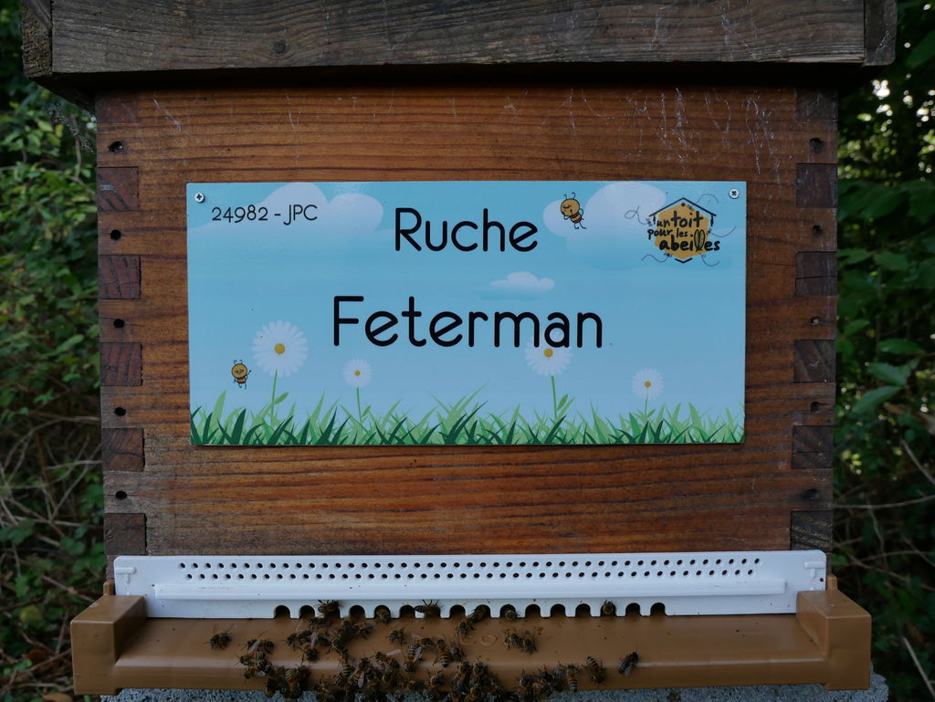 La ruche Feterman