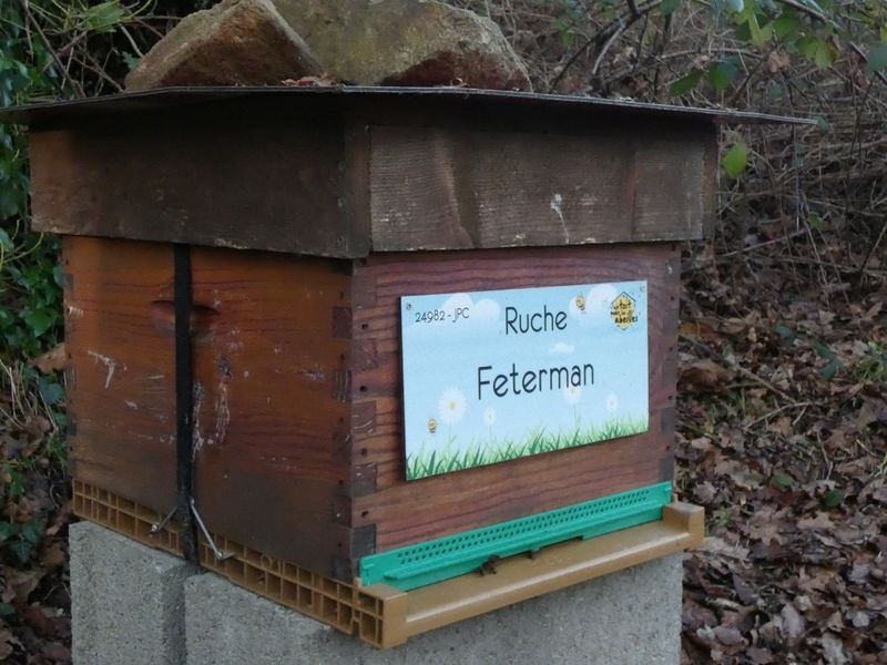 La ruche Feterman